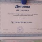Диплом III степени.jpg